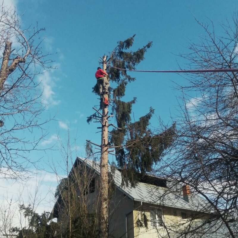 Green Expert Amaden - Amenajari, Intretinere gradina
