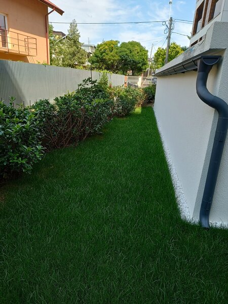 Green Expert Amaden - Amenajari, Intretinere gradina